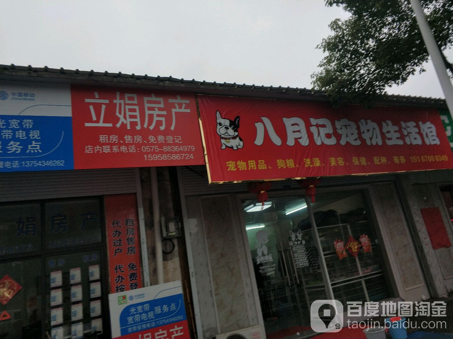 八月记宠物店