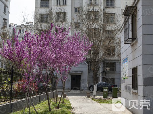 惠民花园小区-B区