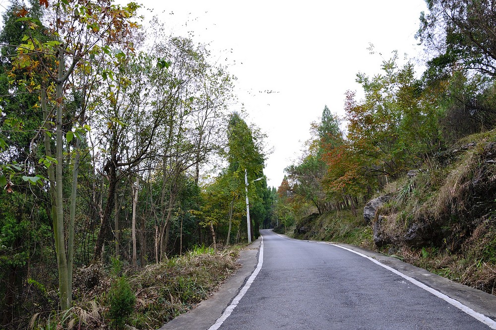 凤池山森林公园