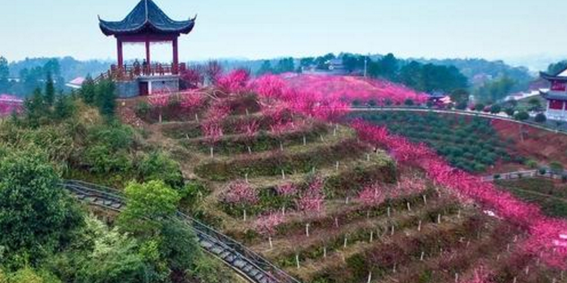 湖南省株洲市醴陵市清水江村