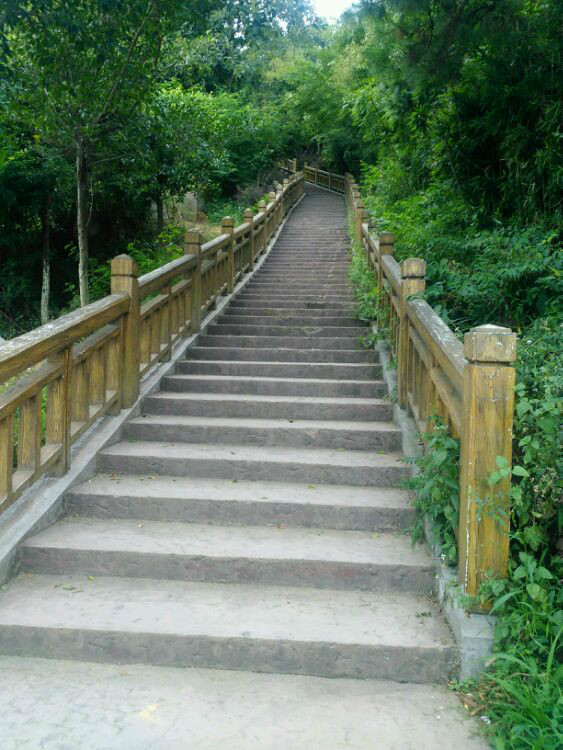 南山公园
