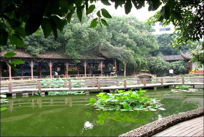 海棠广场