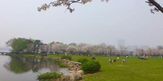 瓜渚湖北岸公园(群贤路)