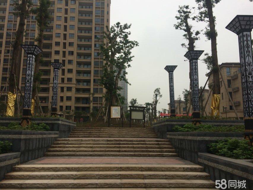李子湖畔