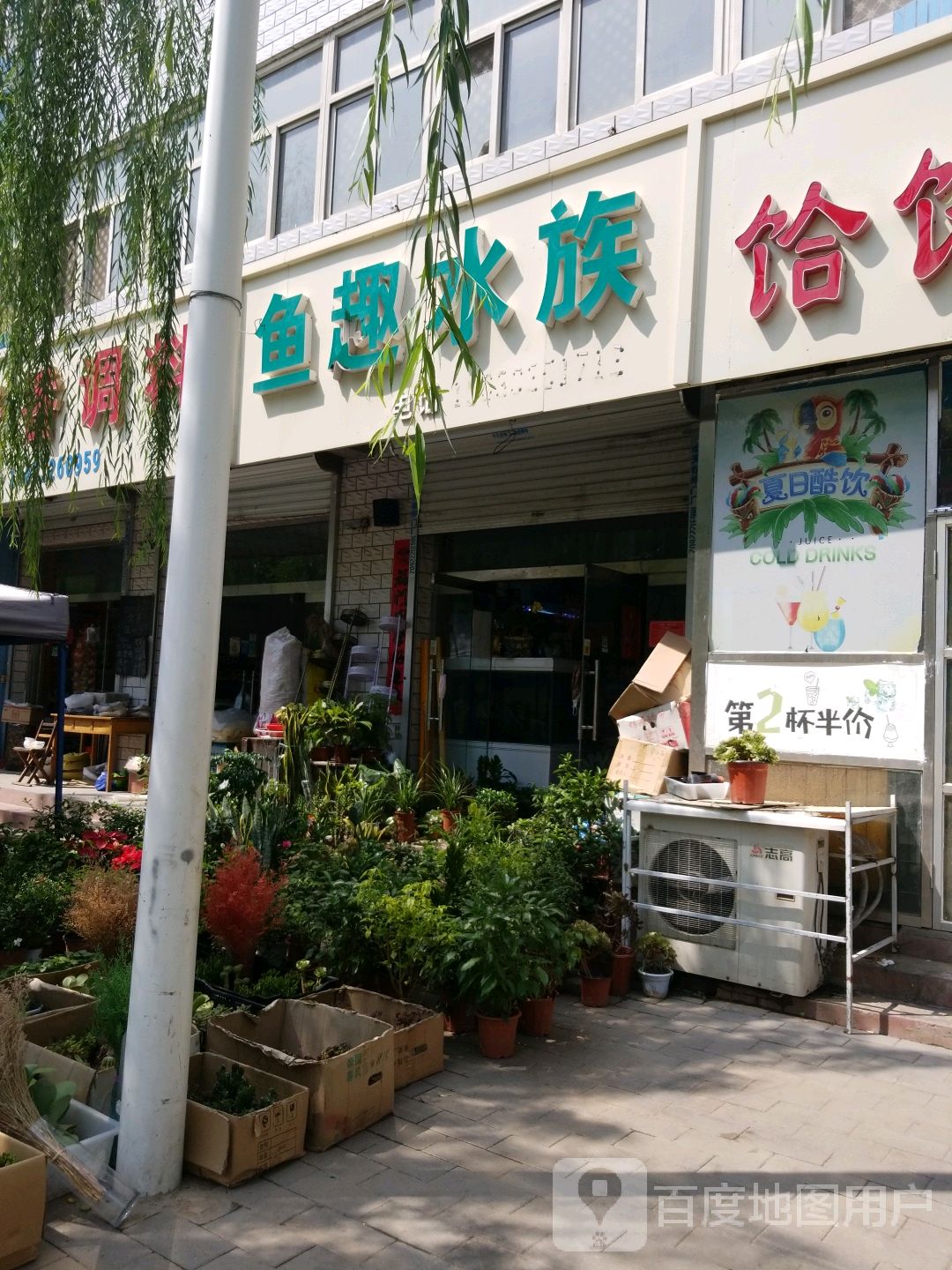 鱼趣水族
