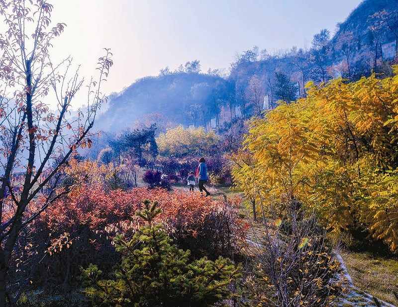 山西省忻州市忻府区九龙岗城郊森林公园(牧马南路东)