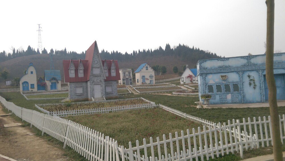 四川省绵阳市涪城区杨家镇团阳寺村