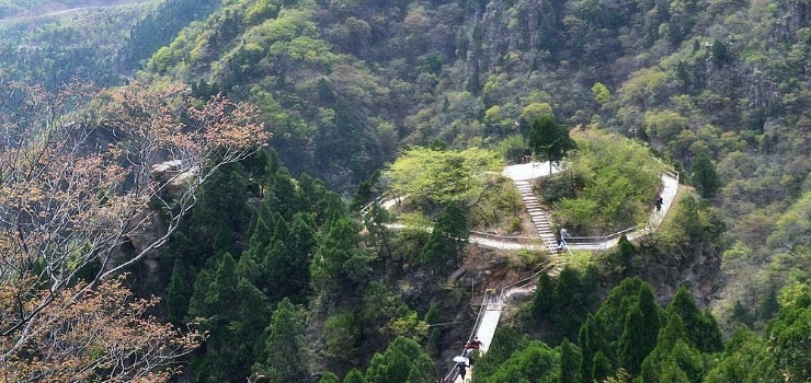 山西省运城市垣曲县历山镇望仙村