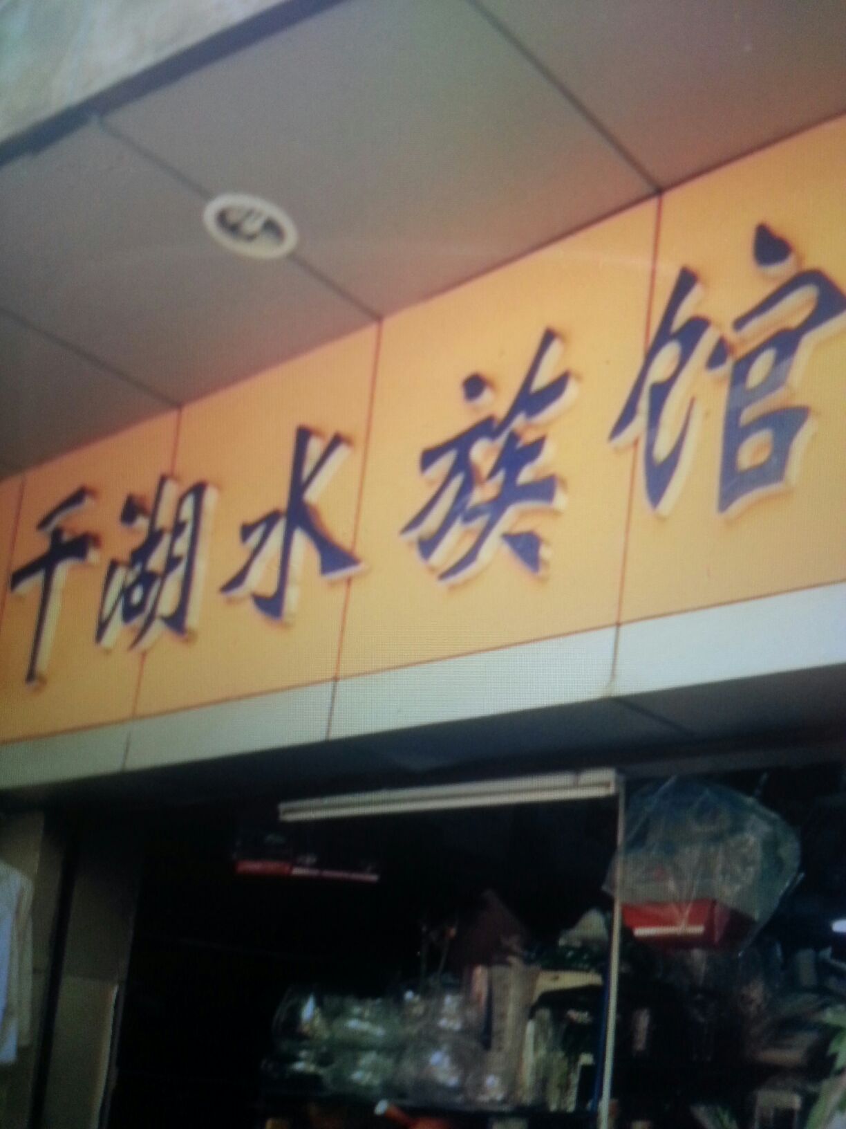 千湖水族馆(中田东路店)