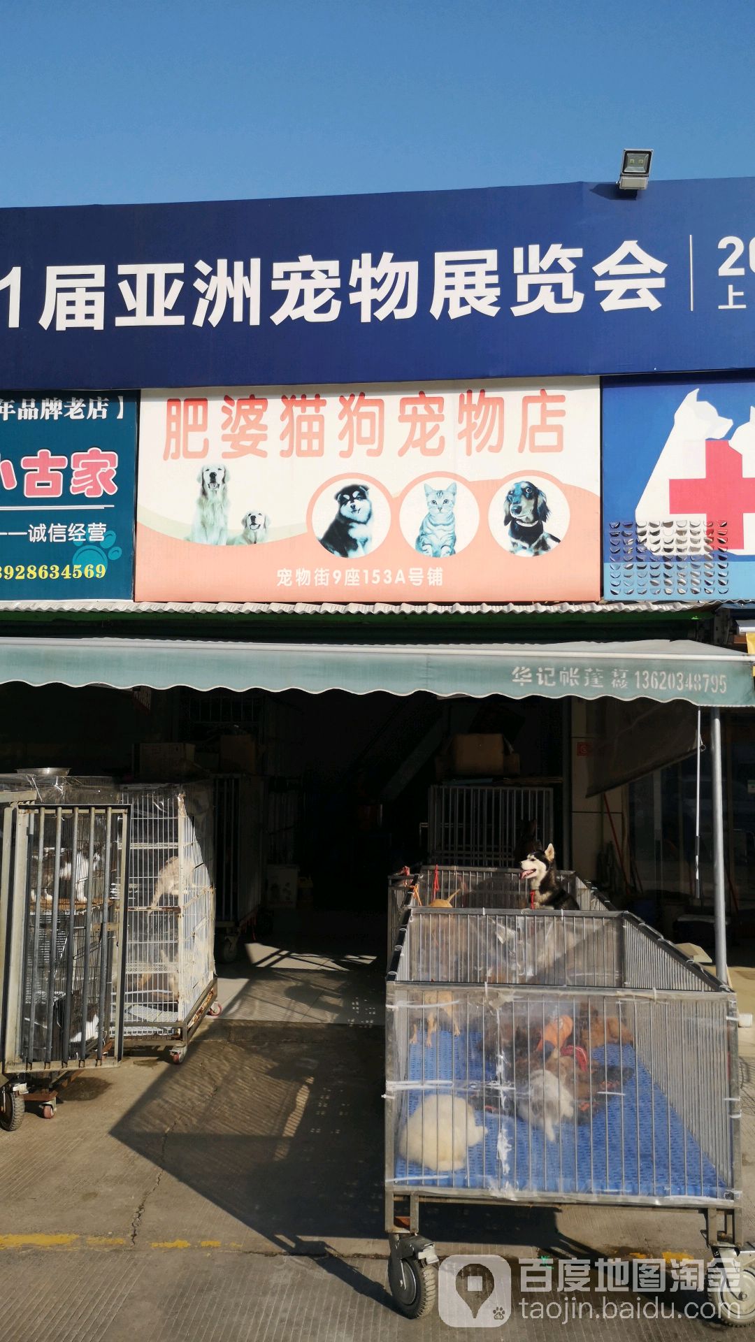 肥婆猫狗宠物店