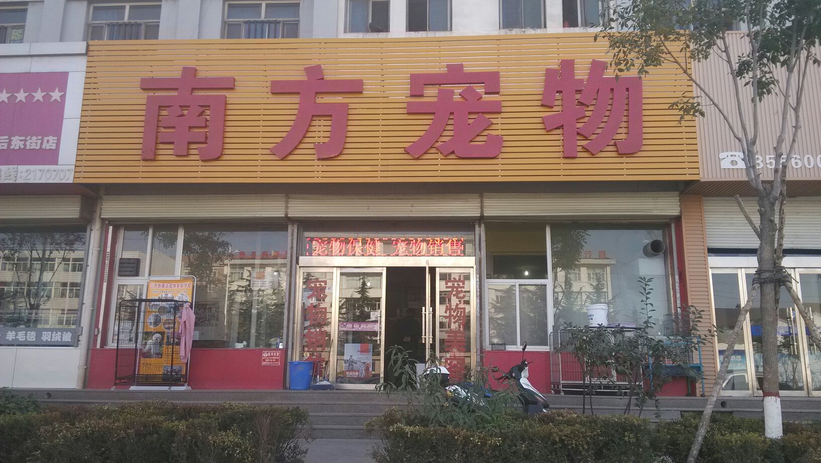 南方动物(府后东街八一家苑店)