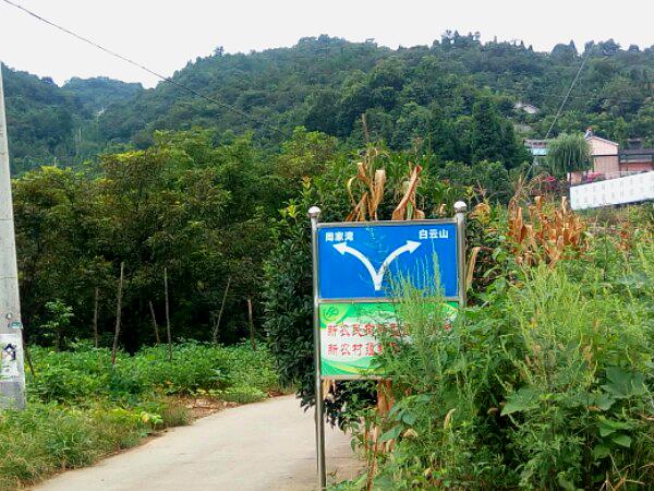 天阳坪村仙剑山康养民宿旅游区