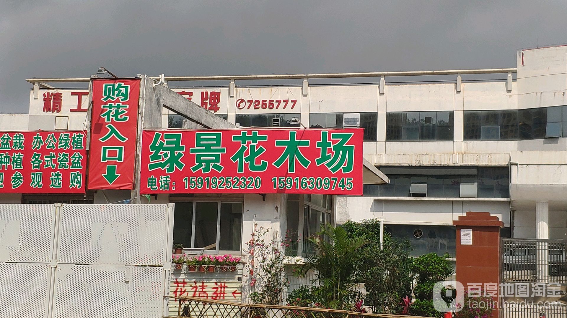 绿景花木场