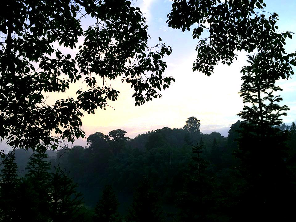 青山禅寺