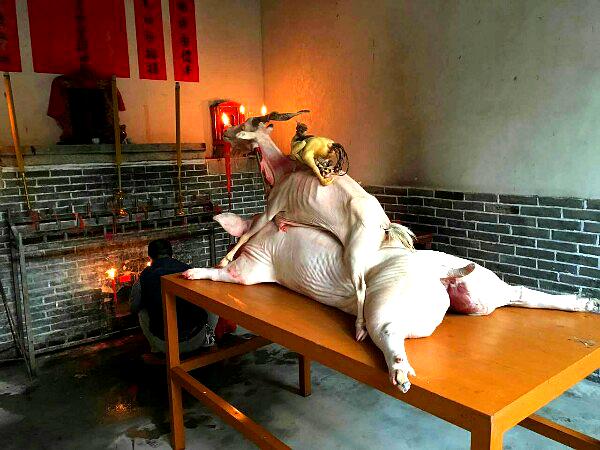 戴氏宗祠(紫金)