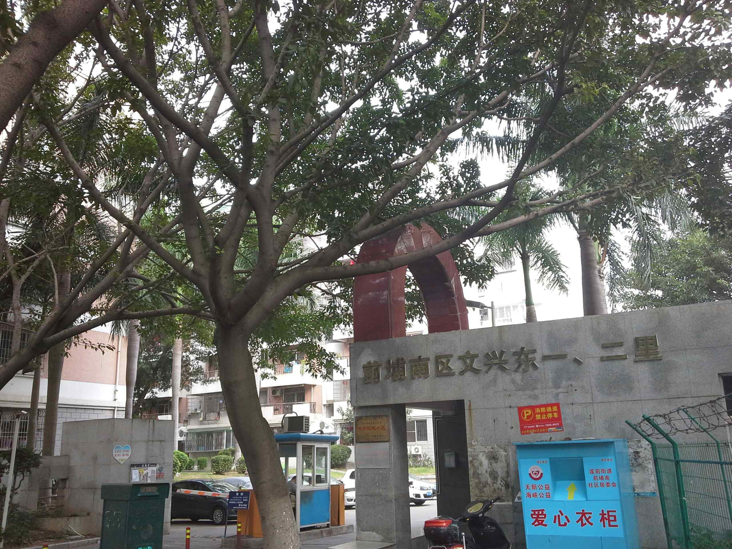 前埔南区-文兴东一二里