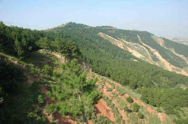 东大森林公园