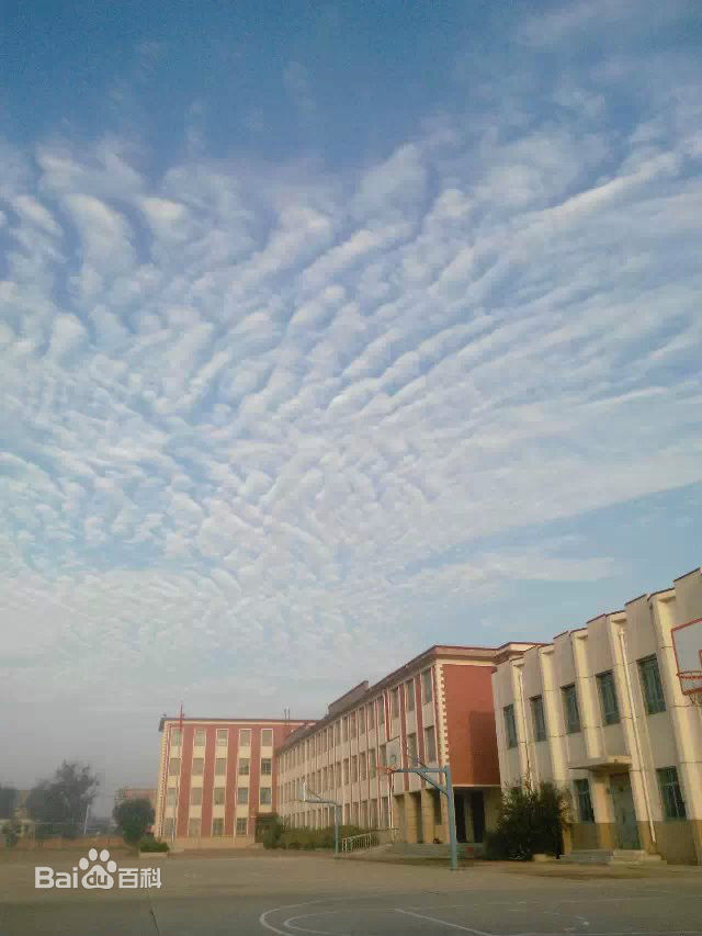 滨湖学校(东校区)