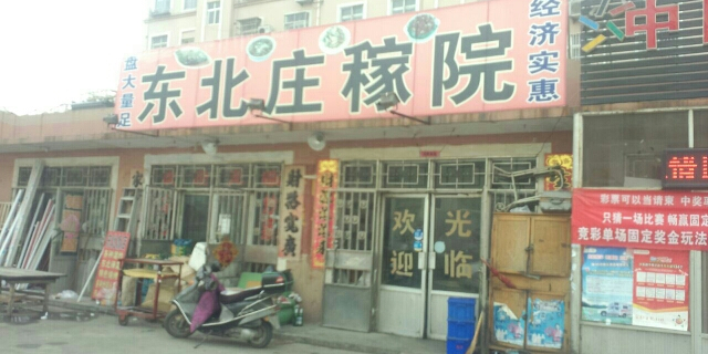 东北庄家菜(王家社区卫生室西)