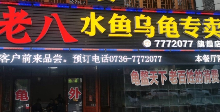 老八水鱼乌龟专买旗舰店