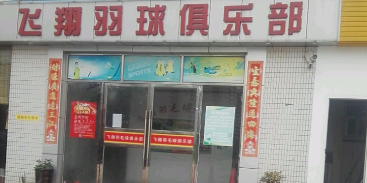 飞翔青少年体育俱乐部