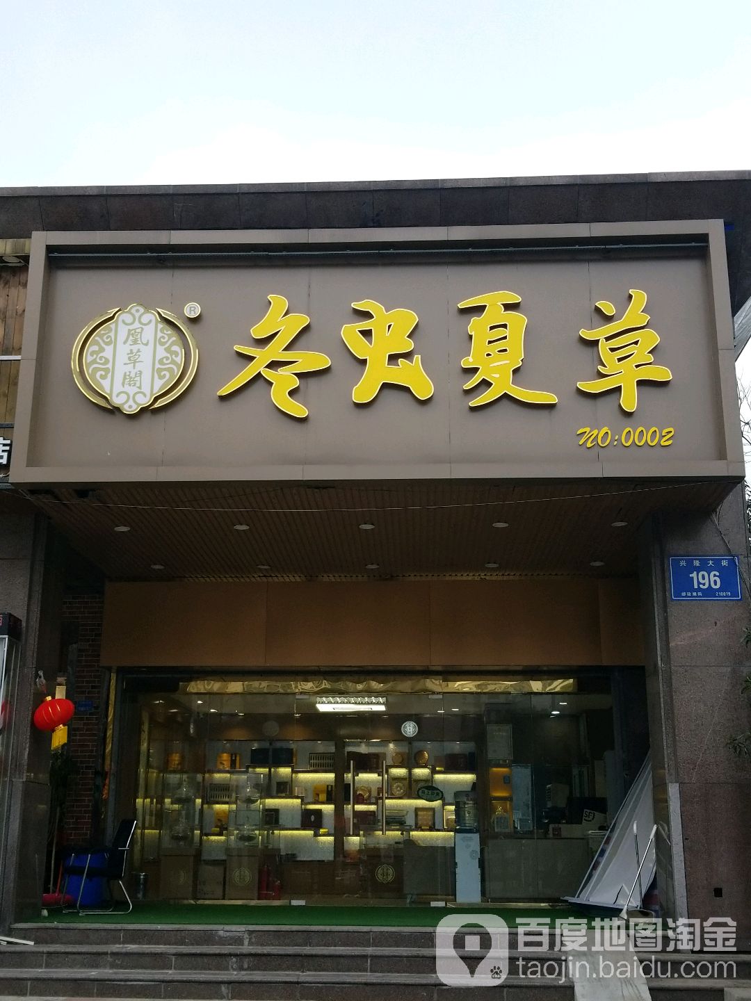 肥虫夏草