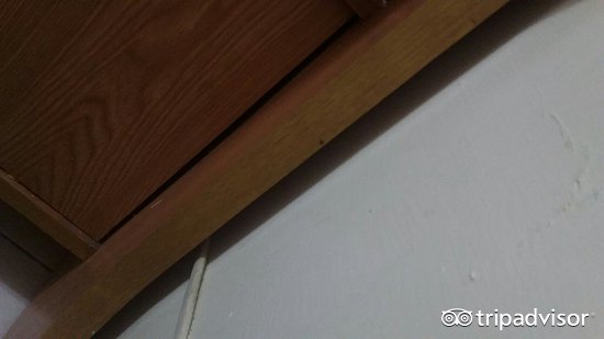 好嫡冻吸