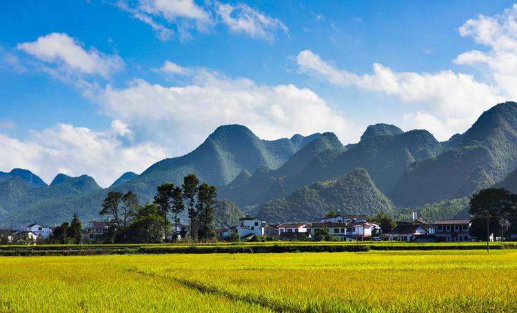 东峰林景区