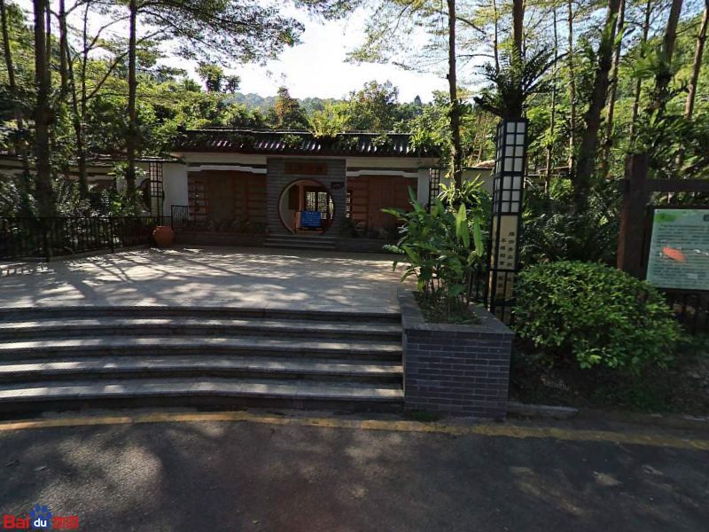 深圳仙湖植物园-蝶谷幽兰