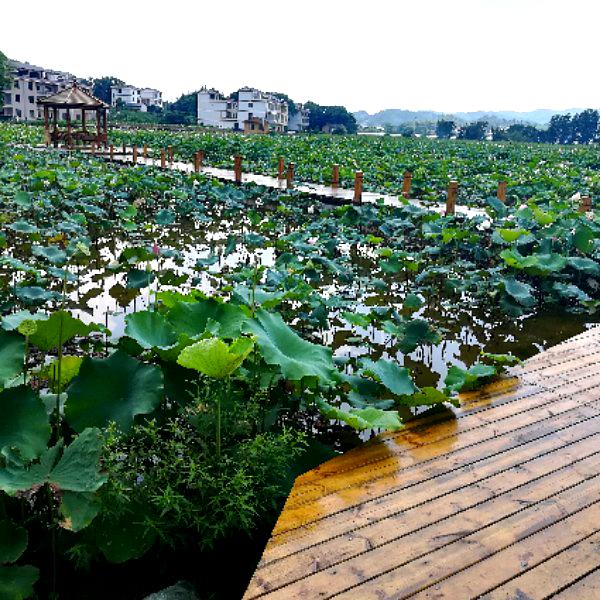 江西省赣州市崇义县龙勾乡良田村