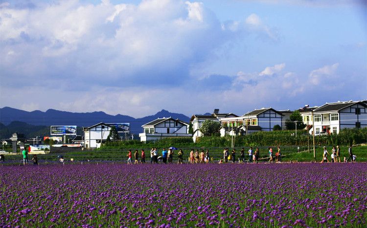 黔北果蔬批发市场