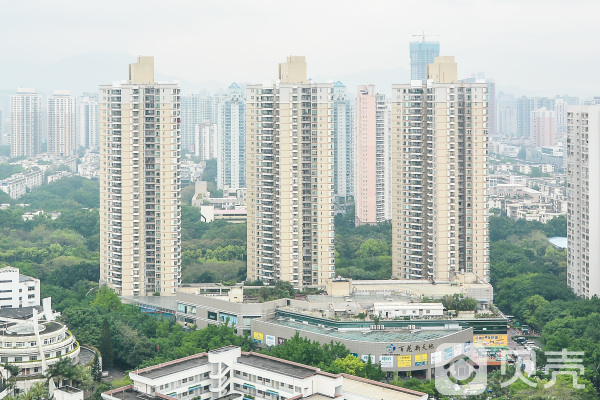 广东省深圳市福田区百花一路2号