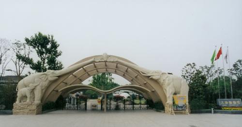 食肉动物区-非洲狮