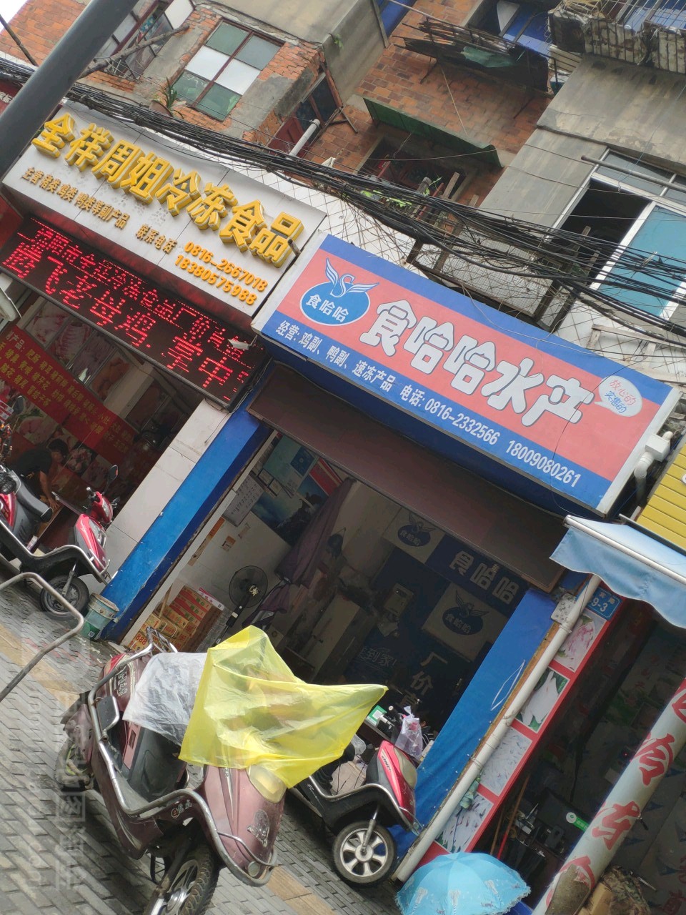 食哈哈水产