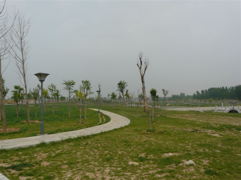 唐王湖公园