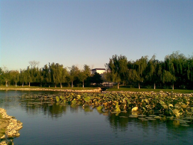 熊岳植物园