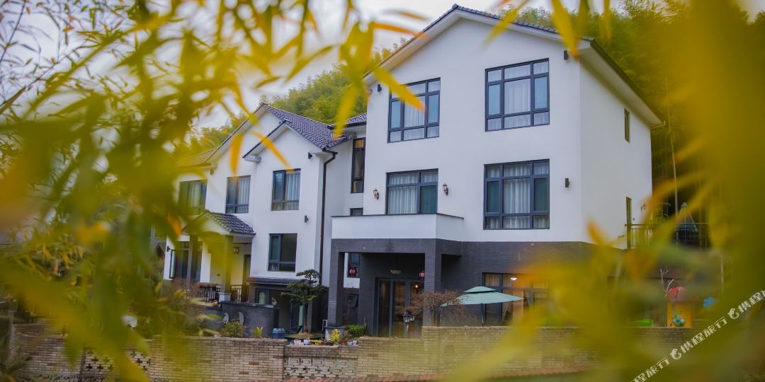 安吉天荒坪镇银坑村黄纸堆003号