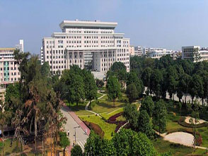 广西大学-林学院