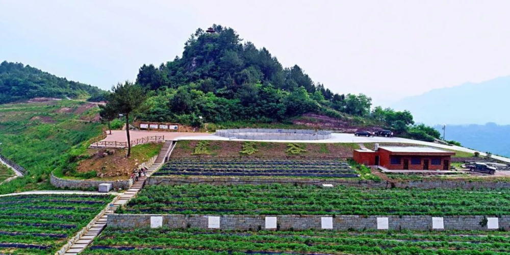 四川省达州市宣汉县大田沟村附近