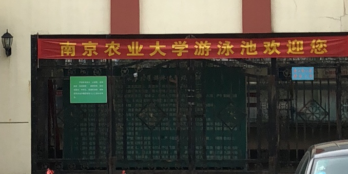 南京农业大学-游泳池
