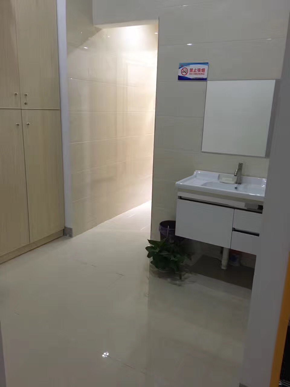 锻龙跆拳道管