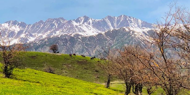 新疆维吾尔自治区伊犁哈萨克自治州霍城县大西沟乡以北8公里