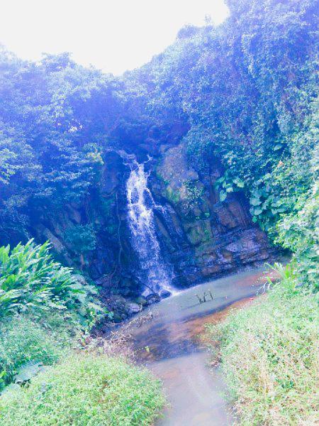 九龙山红树林国家湿地公园