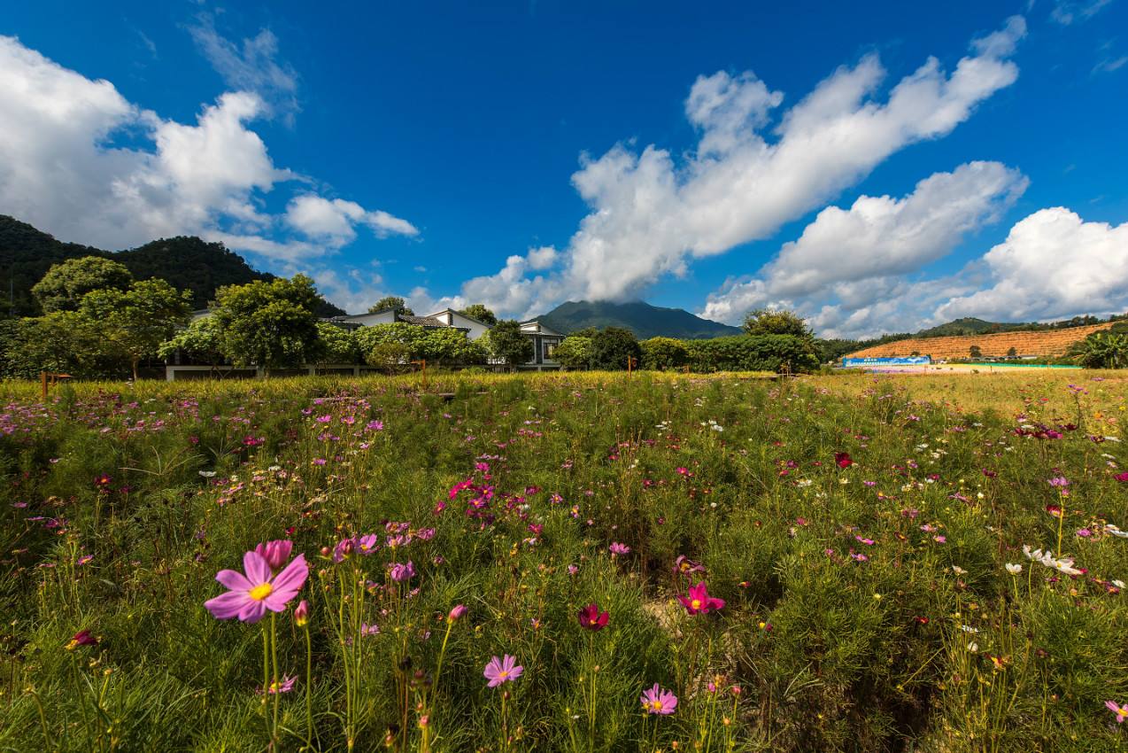 广东新丰江国家森林公园