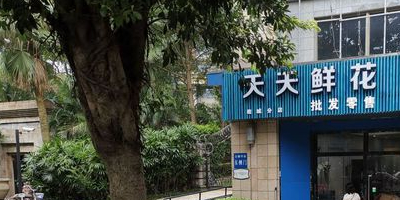 天天鲜花(万科金御华府店)