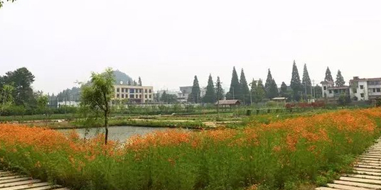 杭州长乐青少年素质教育基地