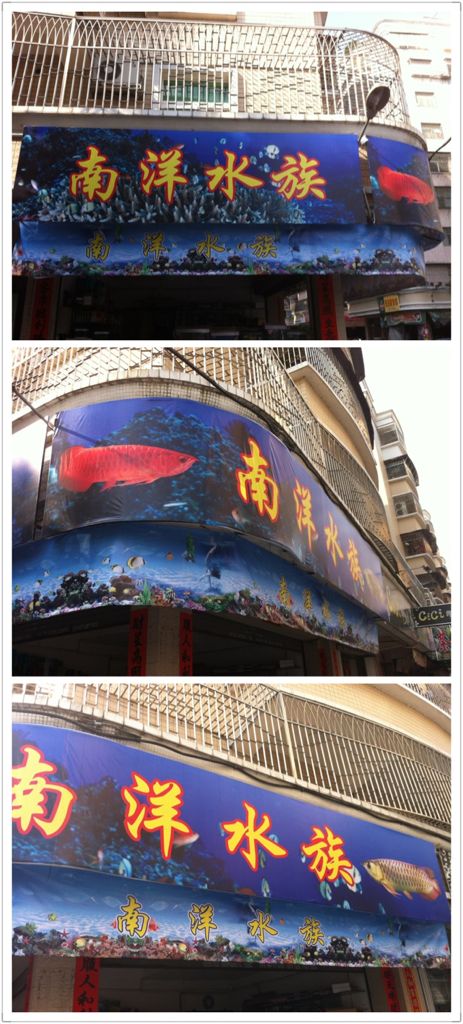 南洋水族