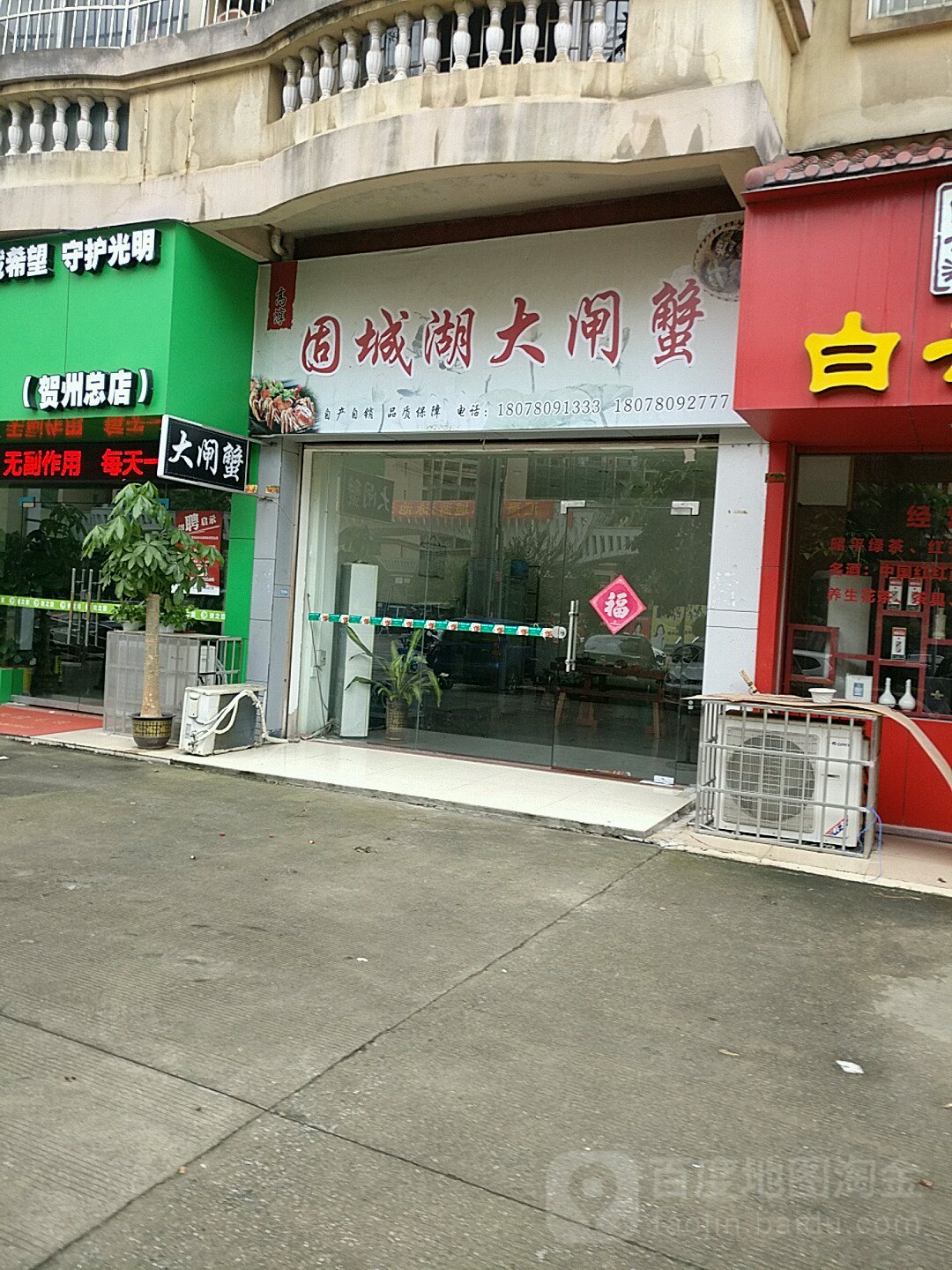 固城湖大甲蟹(汇豪国际城店)