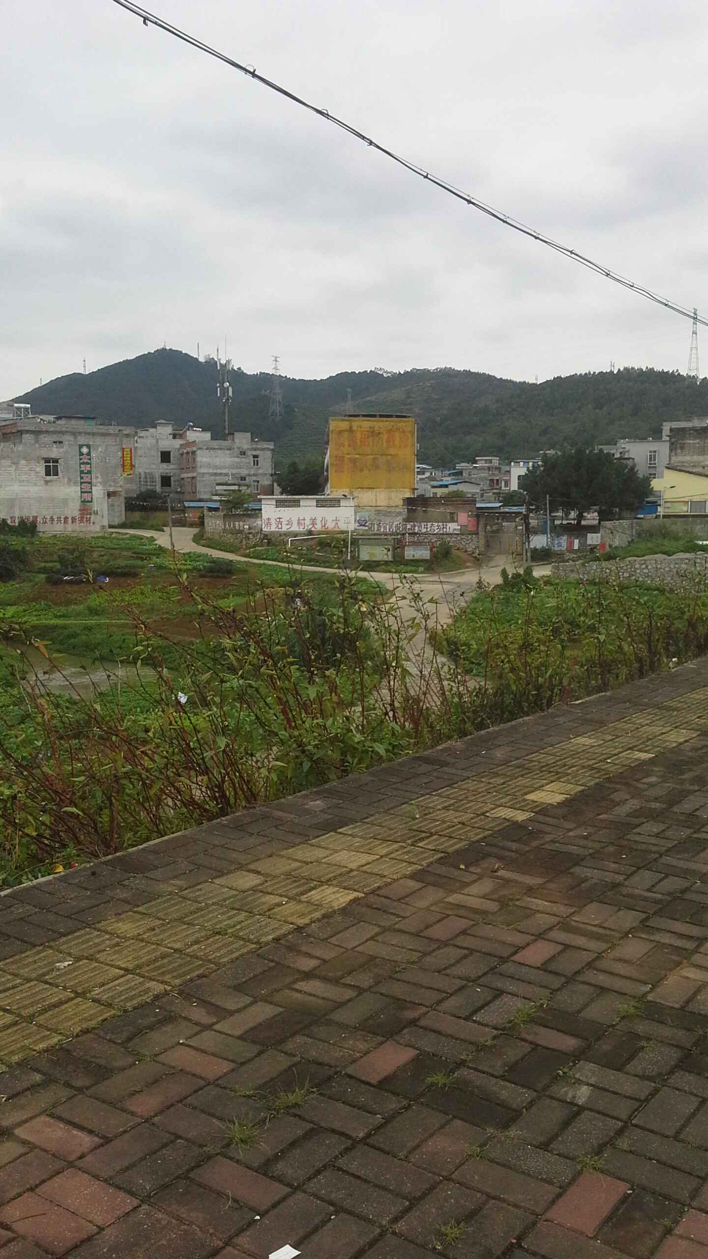 横县横州镇太平村图片