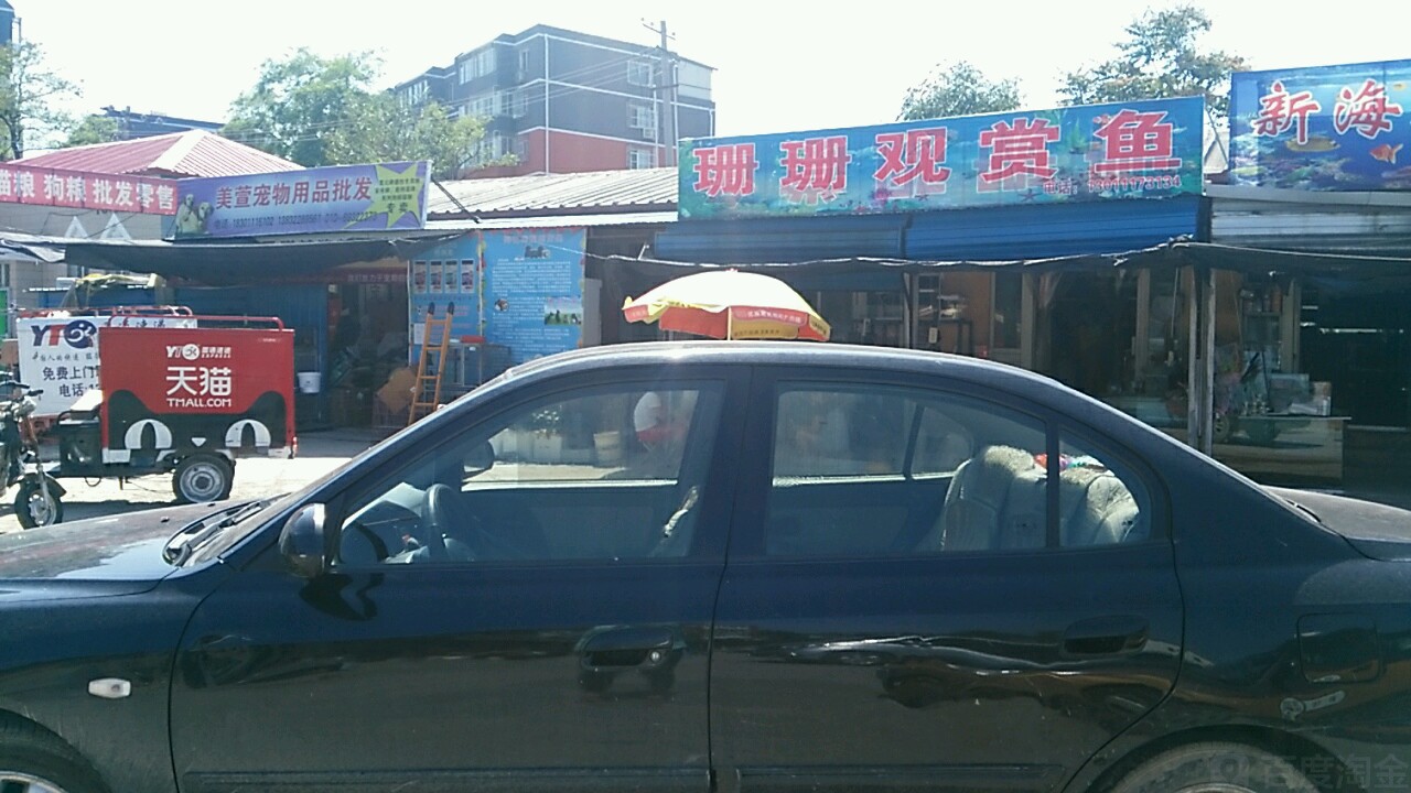 美萱宠物店
